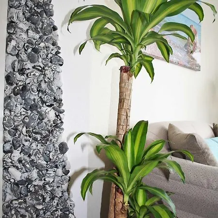 Apartment Komfortferienwohnung Strandgut *